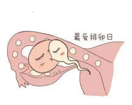 郑州哪家看不孕不育好?月经不规律怎么知道排卵时间